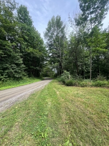 Ranch Home With Acreage For Sale in Otselic, New York - image 29