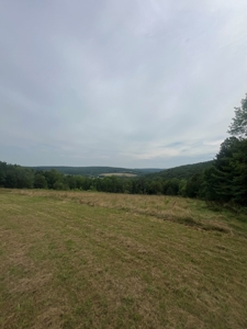 Ranch Home With Acreage For Sale in Otselic, New York - image 21