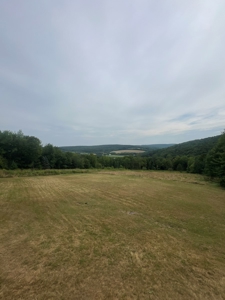 Ranch Home With Acreage For Sale in Otselic, New York - image 12