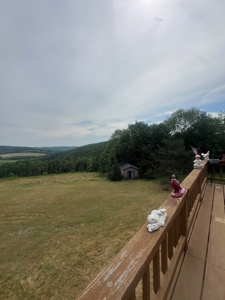 Ranch Home With Acreage For Sale in Otselic, New York - image 11