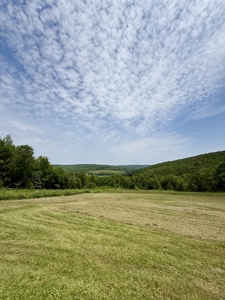 Ranch Home With Acreage For Sale in Otselic, New York - image 33
