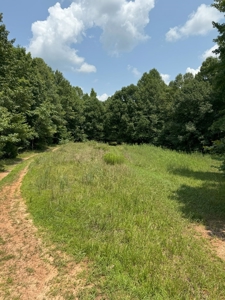 Secluded 45-Acre Estate in Halifax County, VA - image 20
