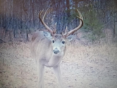 Secluded 45-Acre Estate in Halifax County, VA - image 29
