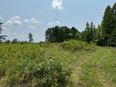 Secluded 45-Acre Estate in Halifax County, VA - image 21