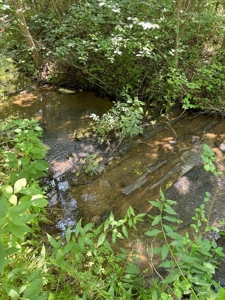 Secluded 45-Acre Estate in Halifax County, VA - image 24