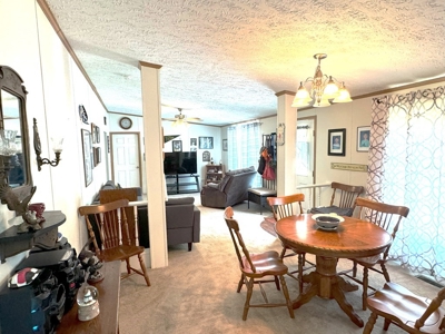 Secluded 45-Acre Estate in Halifax County, VA - image 10