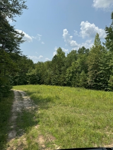 Secluded 45-Acre Estate in Halifax County, VA - image 22