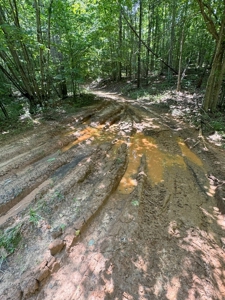 Secluded 45-Acre Estate in Halifax County, VA - image 26
