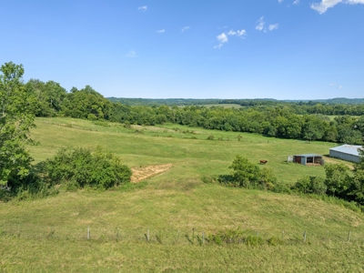 Country Home for Sale in Giles County, Tennessee - image 11