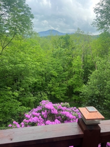 Mountain Chalet for Sale in Seven Devils NC - image 32