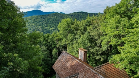 Mountain Chalet for Sale in Seven Devils NC - image 42
