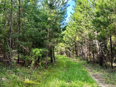 Land for sale Hartford, AL - image 13