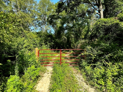 Land for sale Hartford, AL - image 1