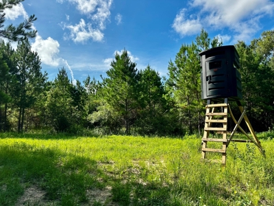 Land for sale Hartford, AL - image 15