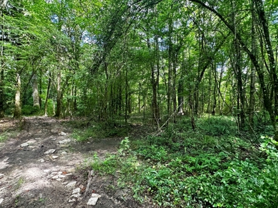 Land for sale Hartford, AL - image 25