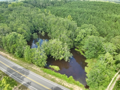 Land for sale Hartford, AL - image 39