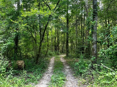 Land for sale Hartford, AL - image 29