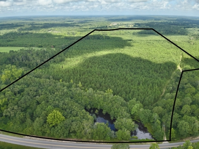 Land for sale Hartford, AL - image 41