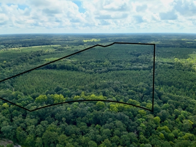 Land for sale Hartford, AL - image 43