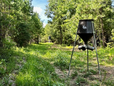 Land for sale Hartford, AL - image 14