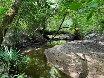 Land for sale Hartford, AL - image 27