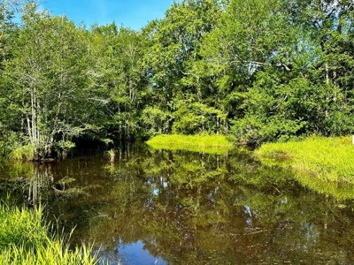 Land for sale Hartford, AL - image 2