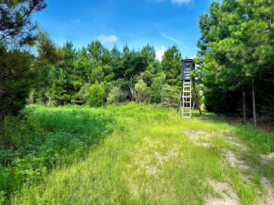 Land for sale Hartford, AL - image 9