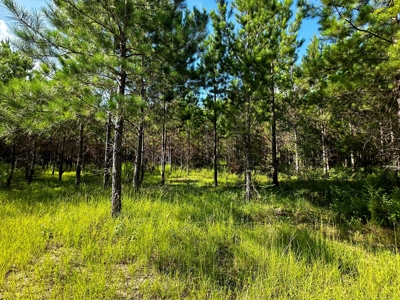 Land for sale Hartford, AL - image 7