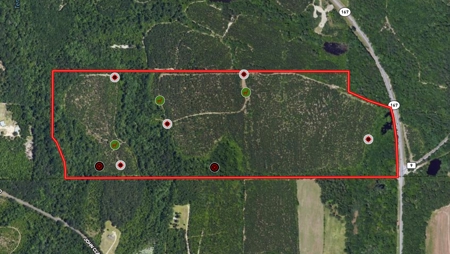 Land for sale Hartford, AL - image 46