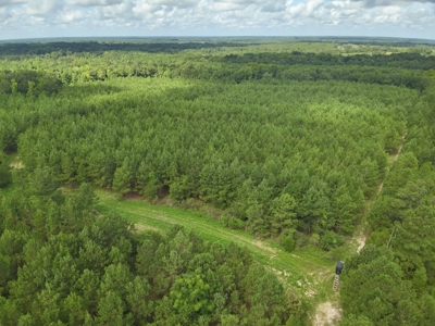 Land for sale Hartford, AL - image 38