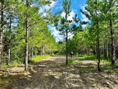 Land for sale Hartford, AL - image 22