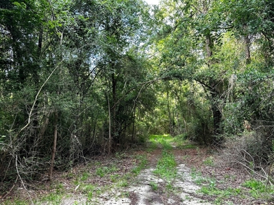 Land for sale Hartford, AL - image 18