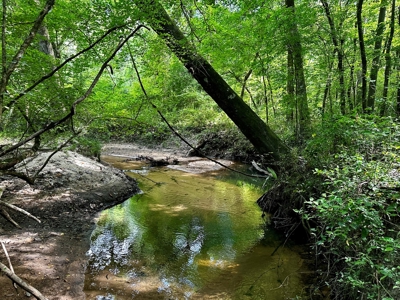 Land for sale Hartford, AL - image 26