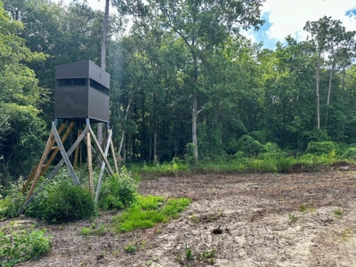 Land for sale Hartford, AL - image 30