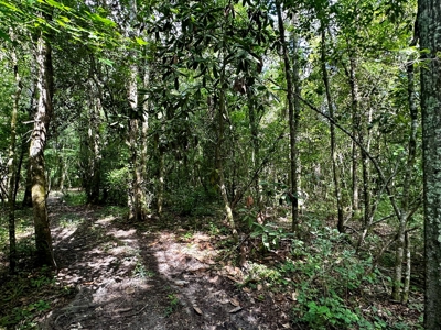 Land for sale Hartford, AL - image 24