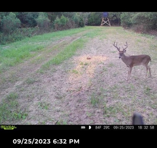 Land for sale Hartford, AL - image 44