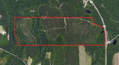 Land for sale Hartford, AL - image 45