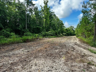 Land for sale Hartford, AL - image 31