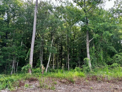 Land for sale Hartford, AL - image 32