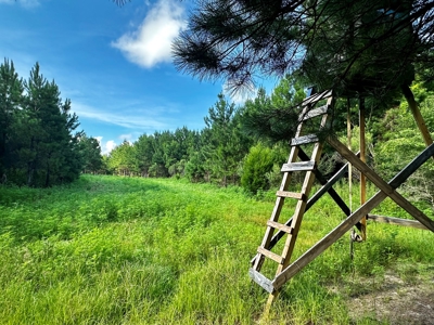 Land for sale Hartford, AL - image 10