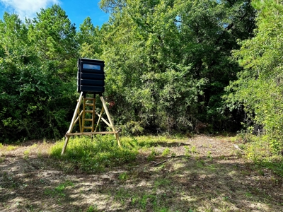 Land for sale Hartford, AL - image 23