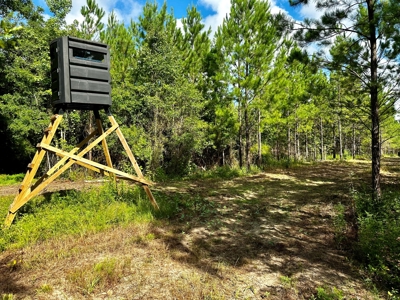 Land for sale Hartford, AL - image 19