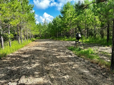 Land for sale Hartford, AL - image 21