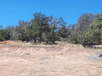 25 Acre Mountain Getaway. - image 33