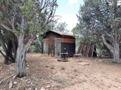 25 Acre Mountain Getaway. - image 2