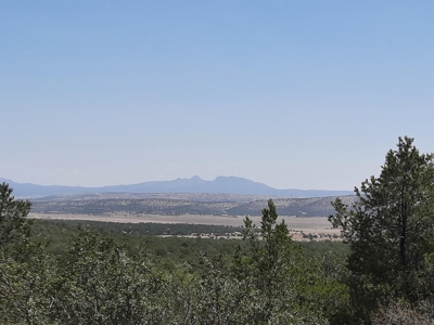 25 Acre Mountain Getaway. - image 10
