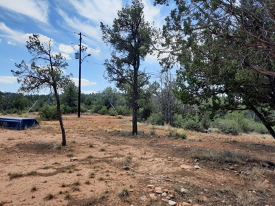 25 Acre Mountain Getaway. - image 3