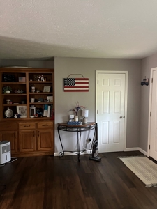 Piedmont Missouri Country Home For Sale - image 6
