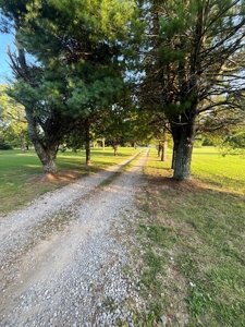 Piedmont Missouri Country Home For Sale - image 31