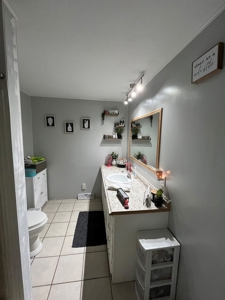 Piedmont Missouri Country Home For Sale - image 2